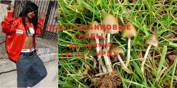 стафф Волосово