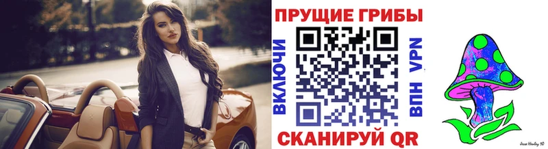 Псилоцибиновые грибы Cubensis  Каменск-Шахтинский 